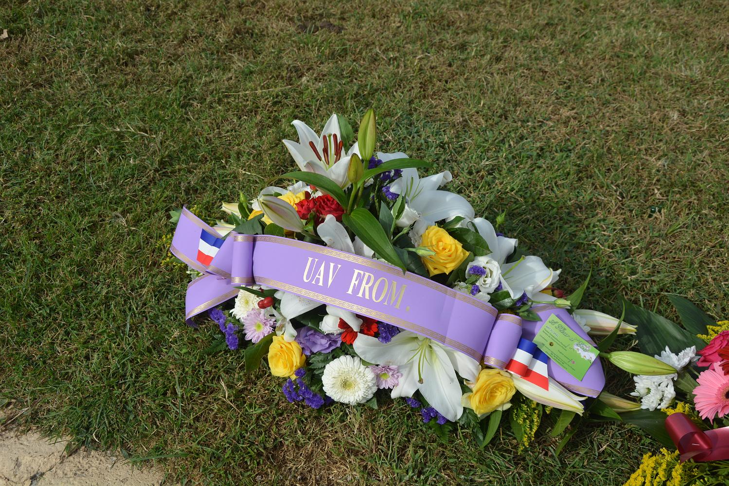 2018 09 25 TOULON HOMMAGE NATIONAL CONSACRE AUX HARKIS (11).JPG